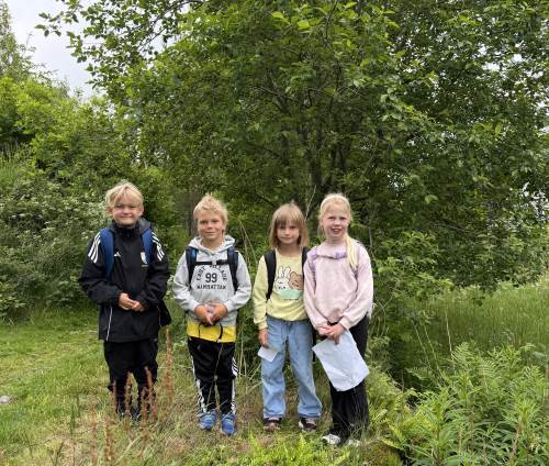 På veil til Blekkulf bhg. har det en gang stått en kanon. Eiendommen her ble okkupert under 2.verdenskrig. 